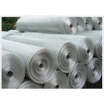 Hot Sale Welded Wire Mesh